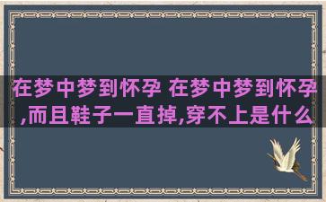 在梦中梦到怀孕 在梦中梦到怀孕,而且鞋子一直掉,穿不上是什么意思